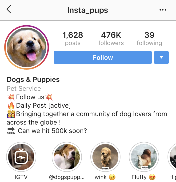 bitmoji instagram bio 