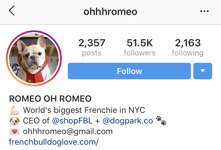 tag someone in instagram bio