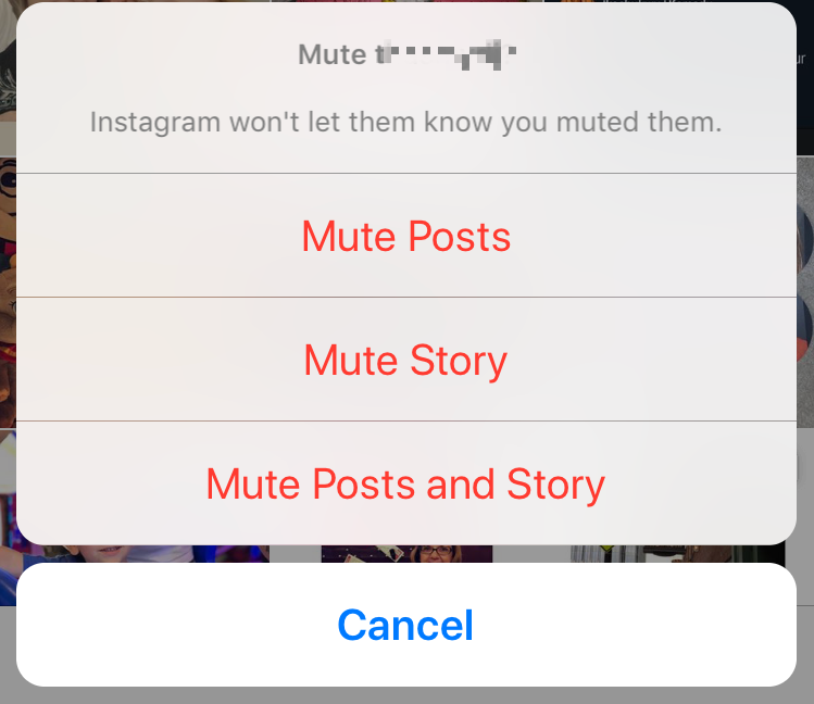 mute instagram followers