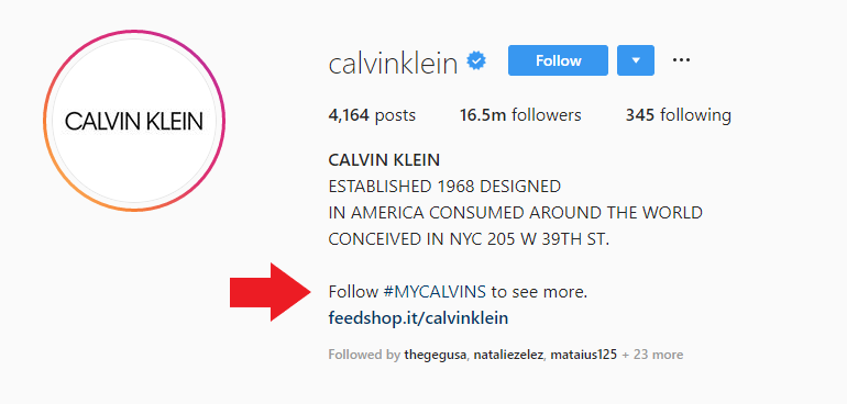 instagram influencers 