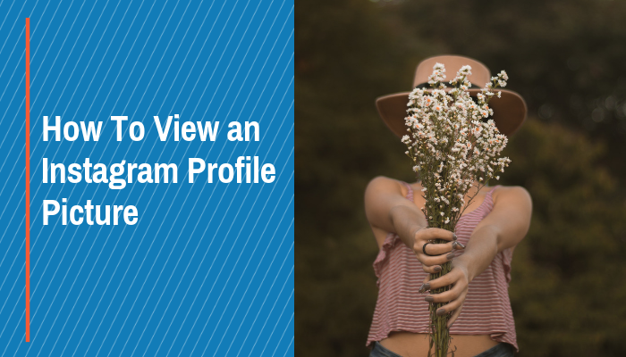 instagram profile picture viewer