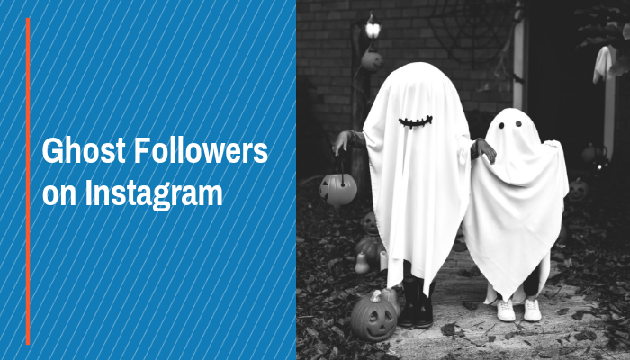 what are ghost followers