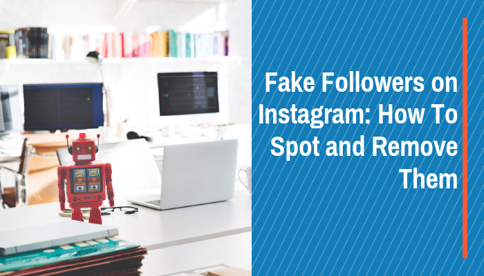 fake instagram followers