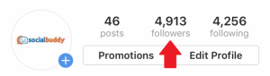 instagram followers